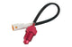 Temperature Sensor Koso M10x1.00 0 - 250 °C (white plug)